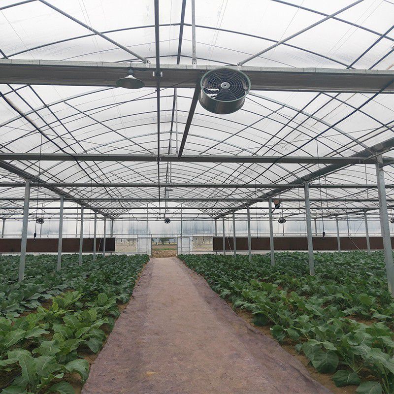 福建蔬菜大棚