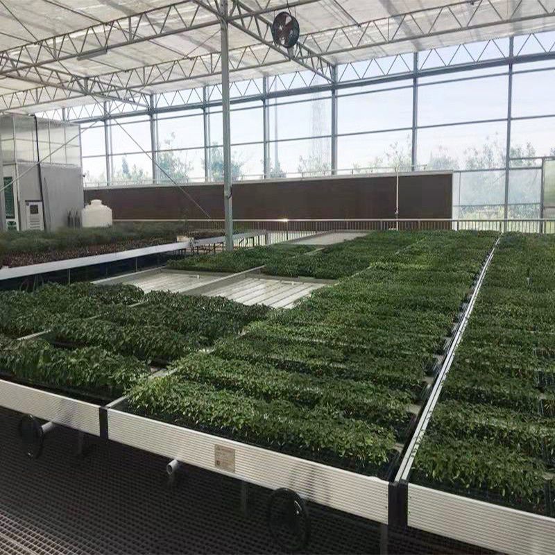 福建蔬菜大棚