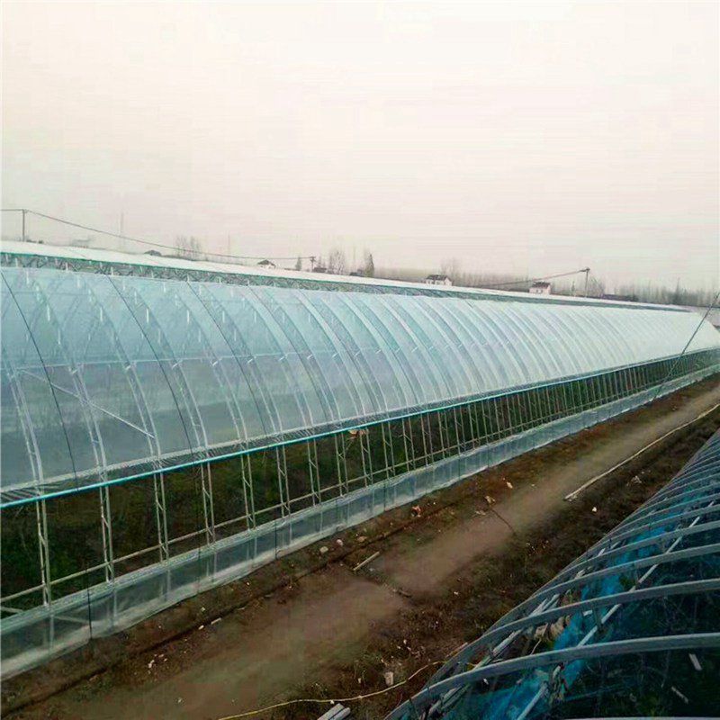 福建蔬菜大棚