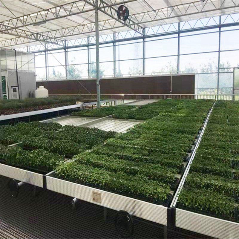 福建蔬菜大棚