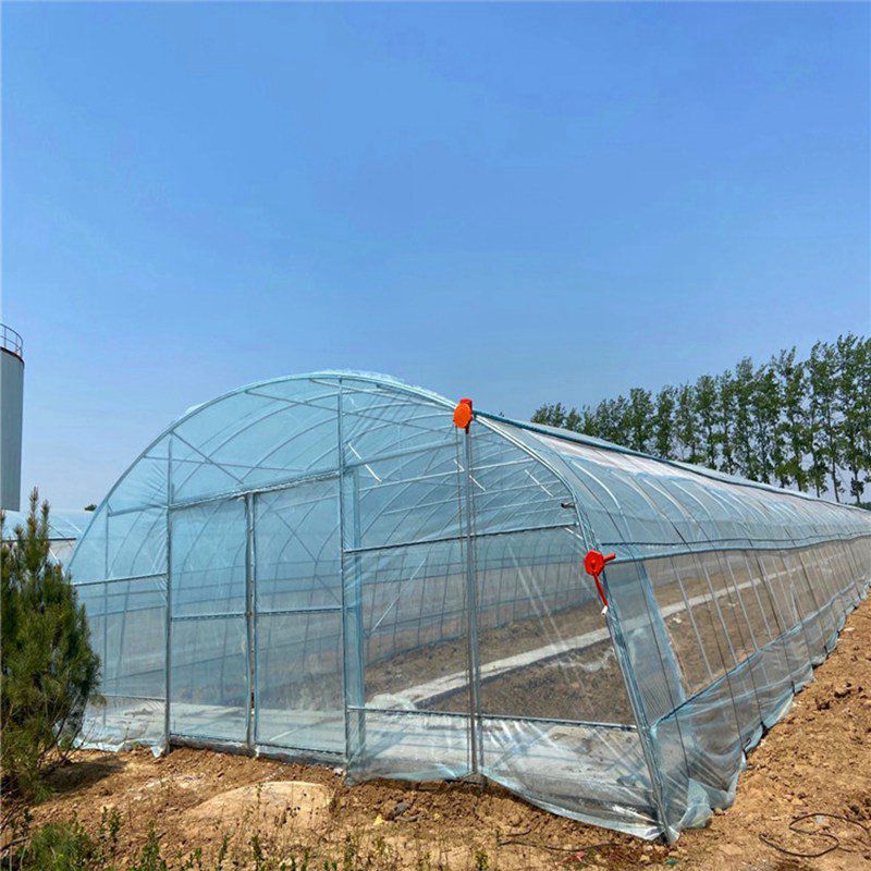 福建蔬菜大棚